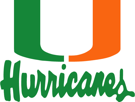 Miami Hurricanes 1979-1999 Wordmark Logo t shirts DIY iron ons